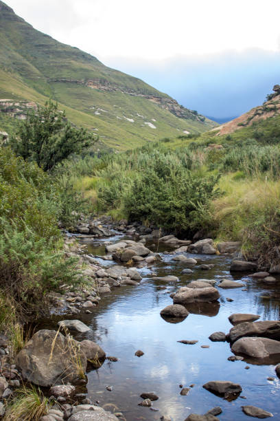A mountain stream in the early morning in the Drakensberg mountain A mountain stream in the early morning with the Peaks in the background still shrouded in mist, photographed in the Golden Gate Highlands National Park, South Africa golden gate highlands national park stock pictures, royalty-free photos & images
