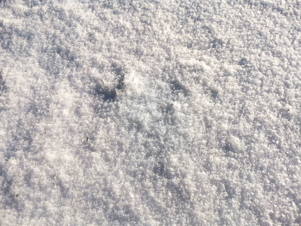 istock texture of white sparkling snow surface. Winter background 1283523424