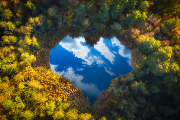 istock Aerial view of heart shaped pond 1283524695