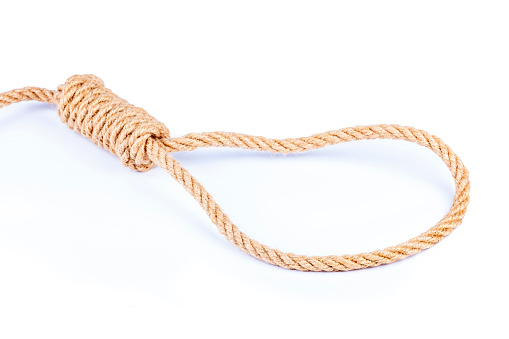 Tied Noose Symbol Brown Rope Loop Knot Object Isolated White