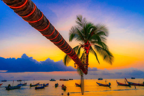 coco en la playa de sairee al atardecer,isla koh toa, surat thani,tailandia. - thailand beach koh tao nautical vessel fotografías e imágenes de stock