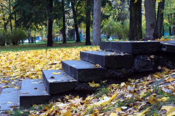 istock stone steps footpath in park in autumn 1283526737