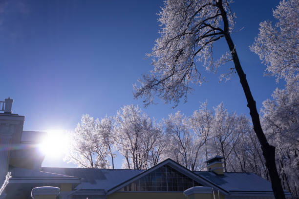 istock Newly  snow on tree in garden and house  on sunlight day 1283528052