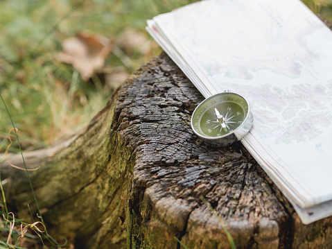 Compass and map lie on stump in forest. Tourist's gear for hiking. Summer adventure. Outdoor recreation. Active lifestyle.