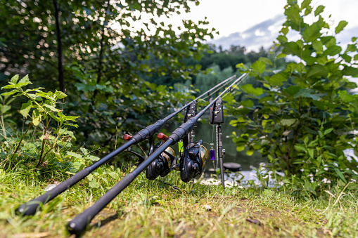 Two fishing rods with reels on stands. Fishing, carp fishing