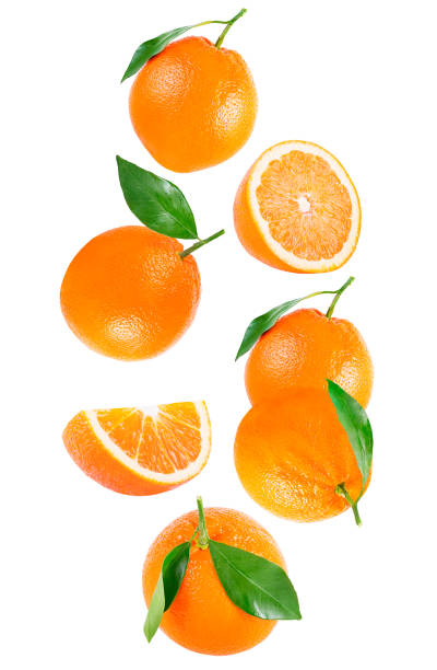 istock Falling fruits isolated on white background with clipping path 1283531551