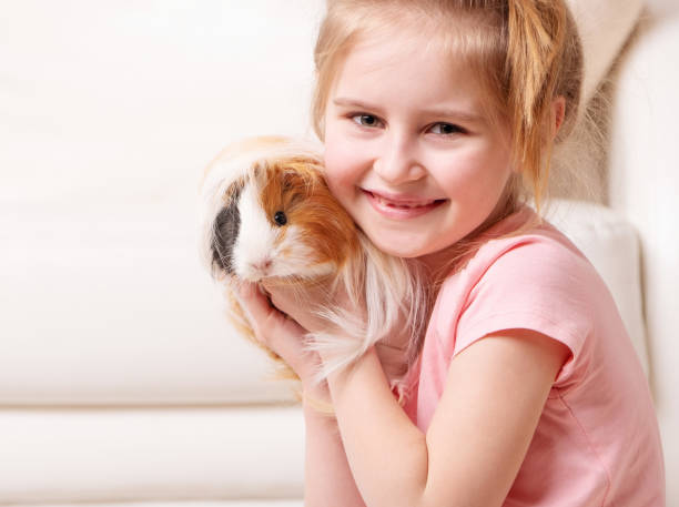 istock Child having fun with guinea pig 1283536550