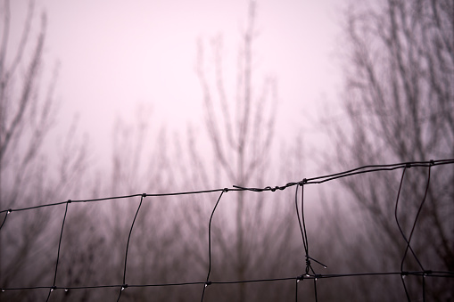 Iron wired fence in the mist, feeling locked up