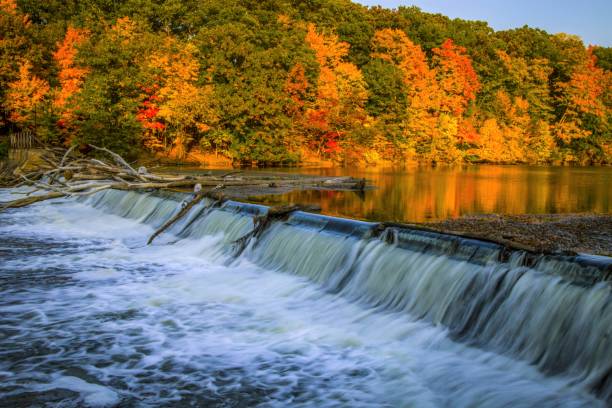 Autumn Landscape At Fitzgerald Park In Grand Ledge Michigan The Grand River flows through a beautiful autumn forest at Fitzgerald Park in Grand Ledge Michigan. Michigan stock pictures, royalty-free photos & images