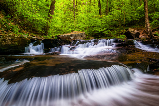 Cascades and bright spring greens on Glen Leigh, in Ricketts Glen State Park, Pennsylvania