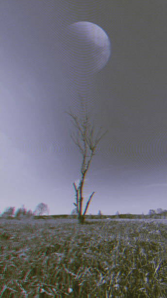 istock Dry tree without leaves in green meadow 1283542899