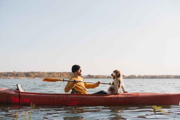 istock Kayaking with dogs: man rowing a boat on the lake with his spaniel. 1283546582