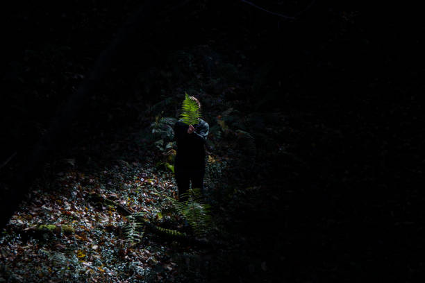 istock Woman holding a fern leaf in dark forest 1283547471