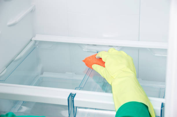 istock woman cleaning refrigerator 1283548489