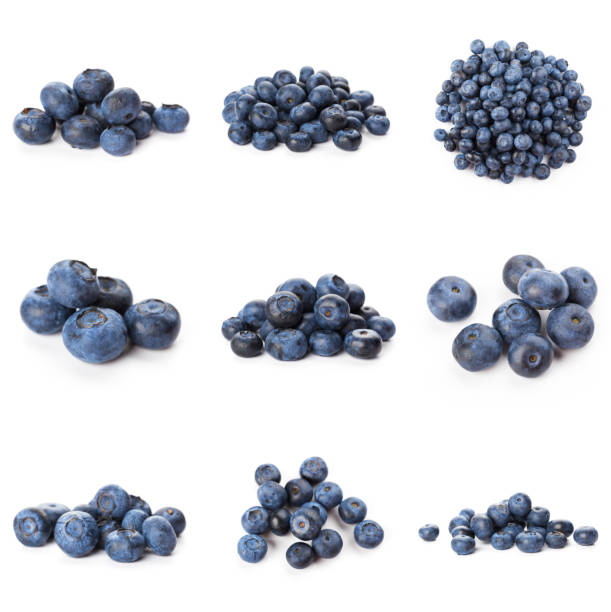 istock Blueberries set isolated on white background. Bilberry. Clipping path. 1283548520