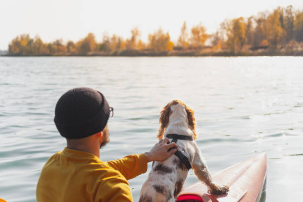 istock Kayaking with dogs: man sits in a row boat on the lake next to his spaniel. 1283548555