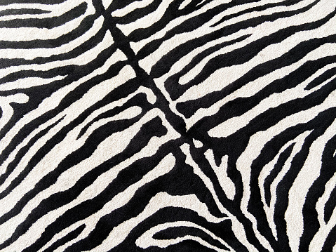 Black and white textured on fabric like zebra skin line shapes. Concept fake nature wildlife animal print textile background on carpet for decoration interior elements design.