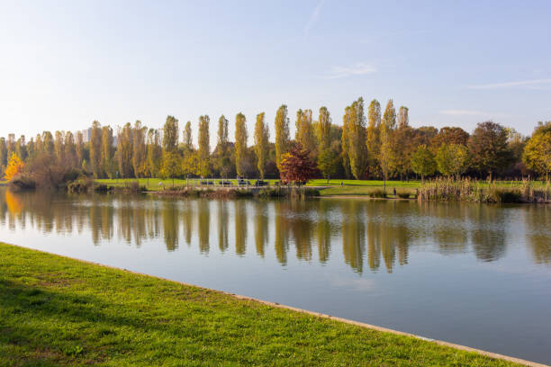 istock Autumn in Parco Nord 1283551499