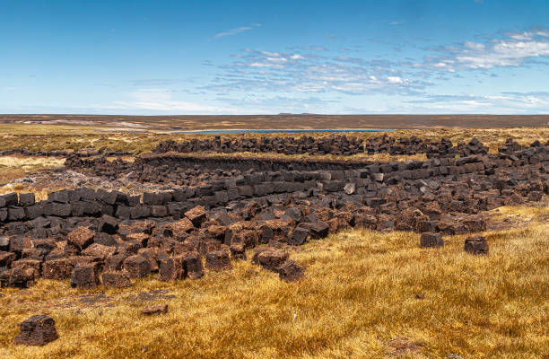 istock Peat harvesting operation with stacks on Falklands, UK. 1283552325