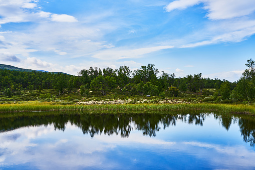 calm water is reflecting everything