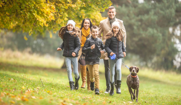 istock Children run with parents and a german shorthaired pointer dog outdoors on a fall day. 1283554146
