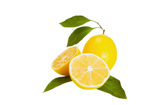 istock Citrus fresh fruits 1283554344