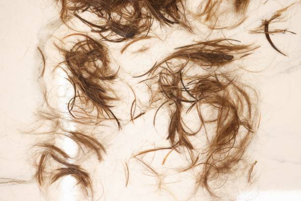 istock Brown hair lies on white floor closeup 1283554399