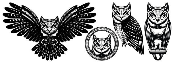 ilustraciones, imágenes clip art, dibujos animados e iconos de stock de un conjunto de búhos en diferentes posiciones. ilustración vectorial monocroma. plantillas para diseño, tatuaje, impresión, cartel publicitario - owl