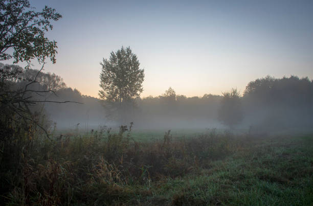Photo of Early morning in Kampinos National Park, Warsaw, Poland