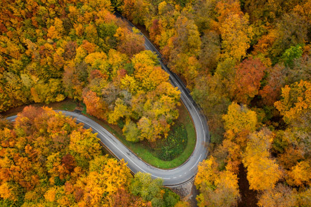 istock Road through autumnal forest - aerial view 1283559902