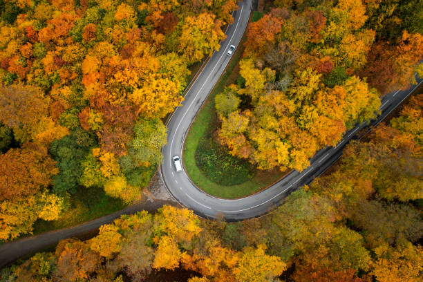 istock Road through autumnal forest - aerial view 1283559937