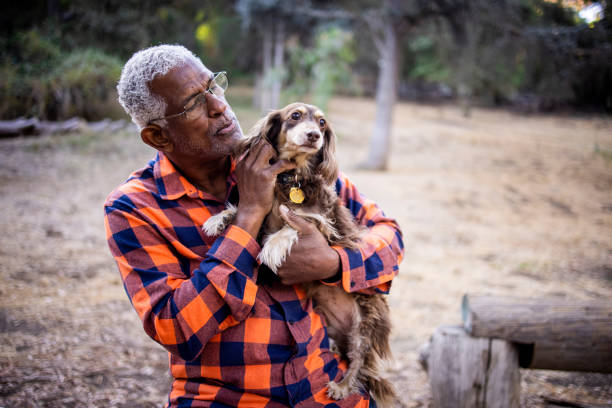 istock Senior Black Man with Long Haired Dachshund 1283560502