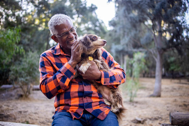 istock Senior Black Man with Long Haired Dachshund 1283561082