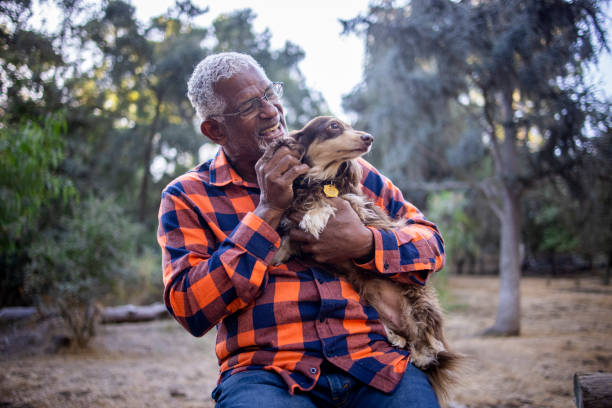 istock Senior Black Man with Long Haired Dachshund 1283561124