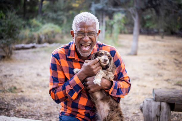 senior black man mit langhaarigem dackel - streicheln stock-fotos und bilder