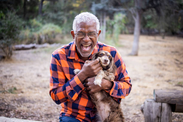 Senior Black Man with Long Haired Dachshund A senior black man with a cute long haired dachshund outdoors stroking photos stock pictures, royalty-free photos & images