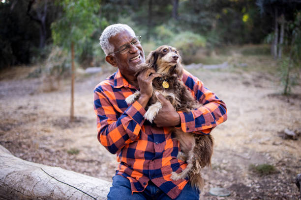 istock Senior Black Man with Long Haired Dachshund 1283561597