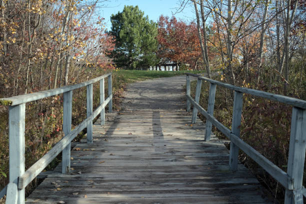 istock The Wooden Walk 1283562594