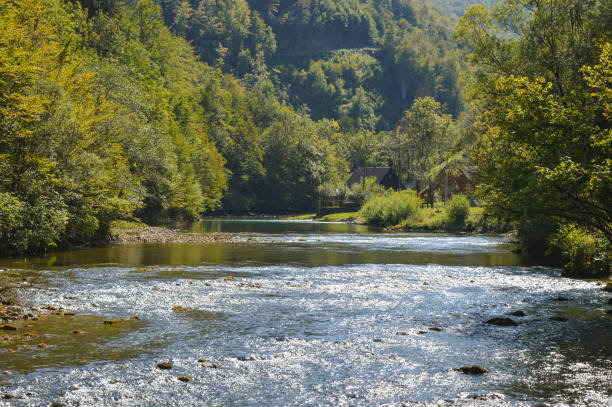 river kupa upstream view on sunny summer day. gorski kotar, croatia - river kolpa imagens e fotografias de stock