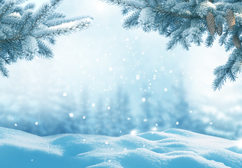 Feliz Navidad y feliz tarjeta de felicitación de año nuevo. Paisaje de invierno con nieve. Fondo navideño con rama de abeto y conos photo