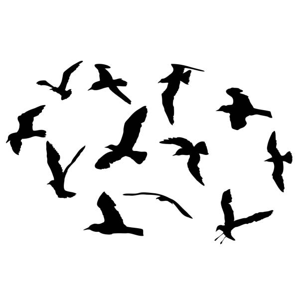 istock Silhouette set of flying seagulls birds on white background. Inspirational body flash tattoo ink of sea birds. Vector. 1283564415