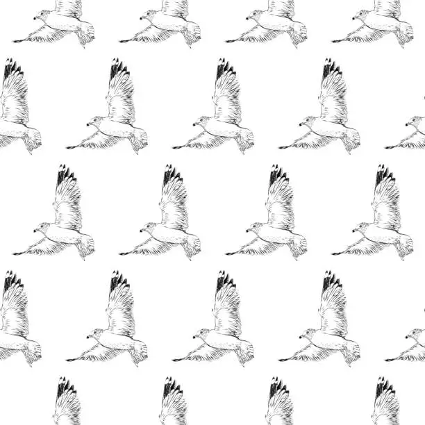 Vector illustration of Seagull Seamless Pattern in Pen and Ink. EPS10 Vector Illustration