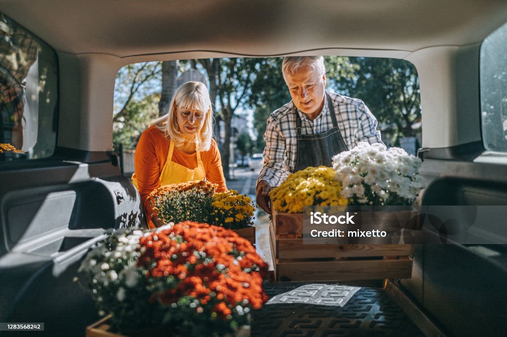 Coppia che scarica casse di fiori freschi dal bagagliaio dell'auto - Foto stock royalty-free di Automobile