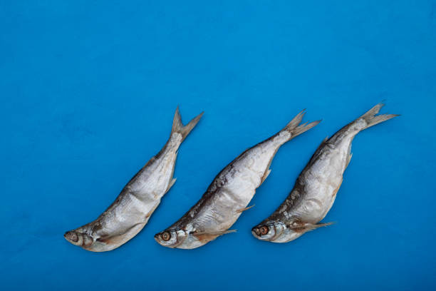 istock Three salty dry fish on blue background with copy space. Sabrefish (Pelecus cultratus) - popular beer appetizer in Russia 1283568346