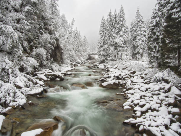 istock Rivier boven de Krimmler Waterfalls 1283569418