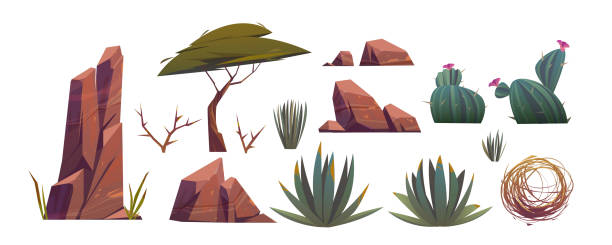 illustrazioni stock, clip art, cartoni animati e icone di tendenza di tumbleweed, cactus e rocce del deserto di sabbia - desert