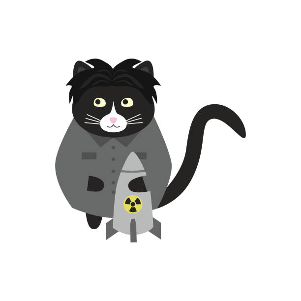 ilustrações de stock, clip art, desenhos animados e ícones de cute north korean black cat in a gray suit with a nuclear warhead in his paws and black hairstyle. - rocket smiling missile bomb