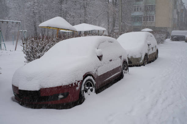 istock Cars covered in snow on a parking 1283570737