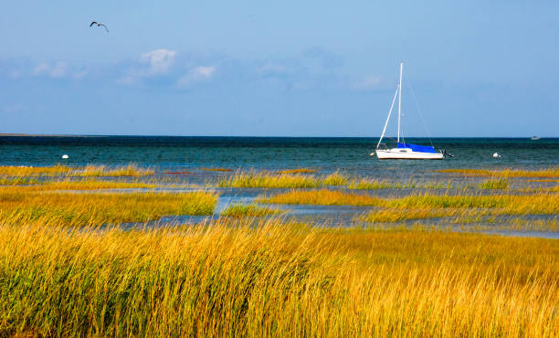 Cap Code Bay Cape Cod Bay Photos Stock Photos, Pictures & Royalty-Free Images - iStock
