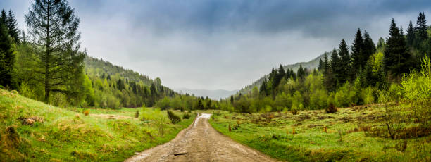 istock forest road in the Carpathian mountains 1283571092